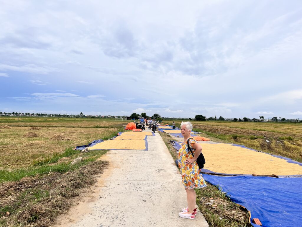 CULTURE DE RIZ VERS TRA QUE
