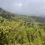 Sa Pa Terrasse de Rizières